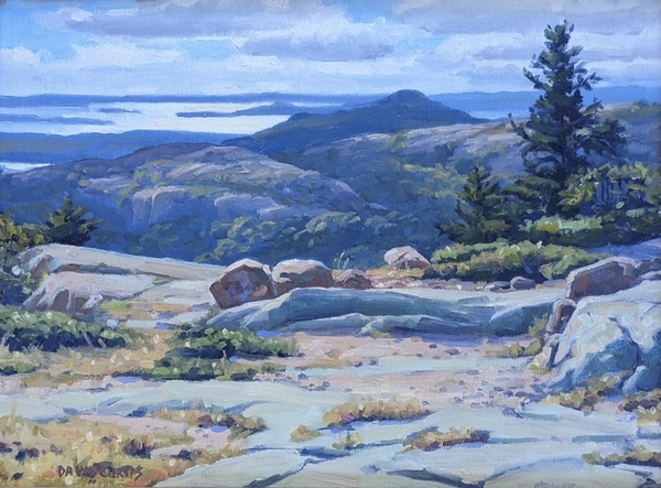 Between the Pines
