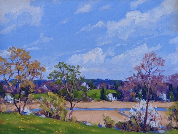 Across the Marsh