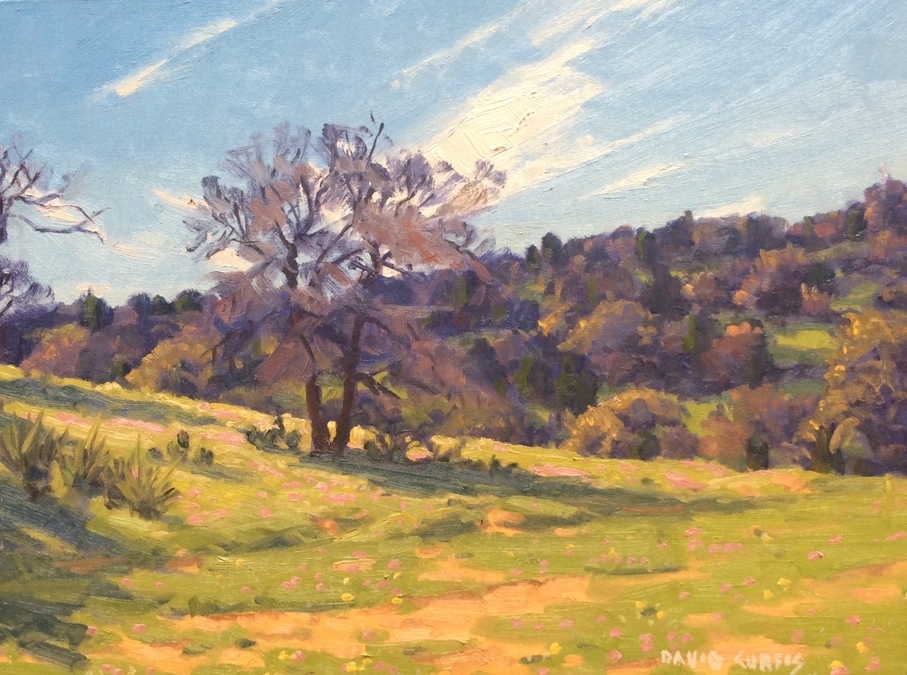 Near Cedar Ridge