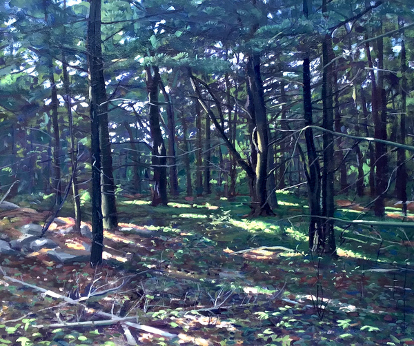 Into the Woods